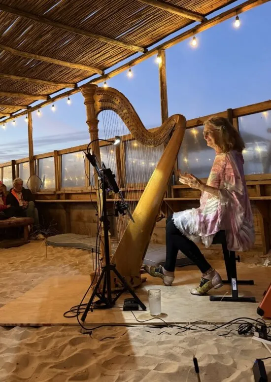 Comida, música y momentos compartidos — ChiloChill en La Ventana