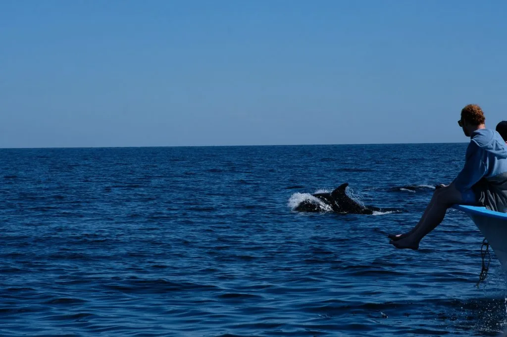 Pesca en el Mar de Cortés — ChiloChill en La Ventana